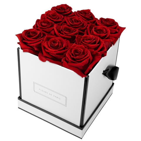 Medium / White - Square / Royal Red