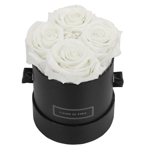 Small / Black - Round / Ivory