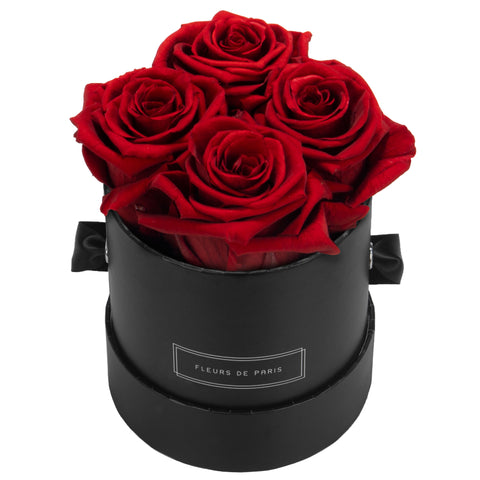 Small / Black - Round / Royal Red